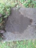 image of grave number 261507